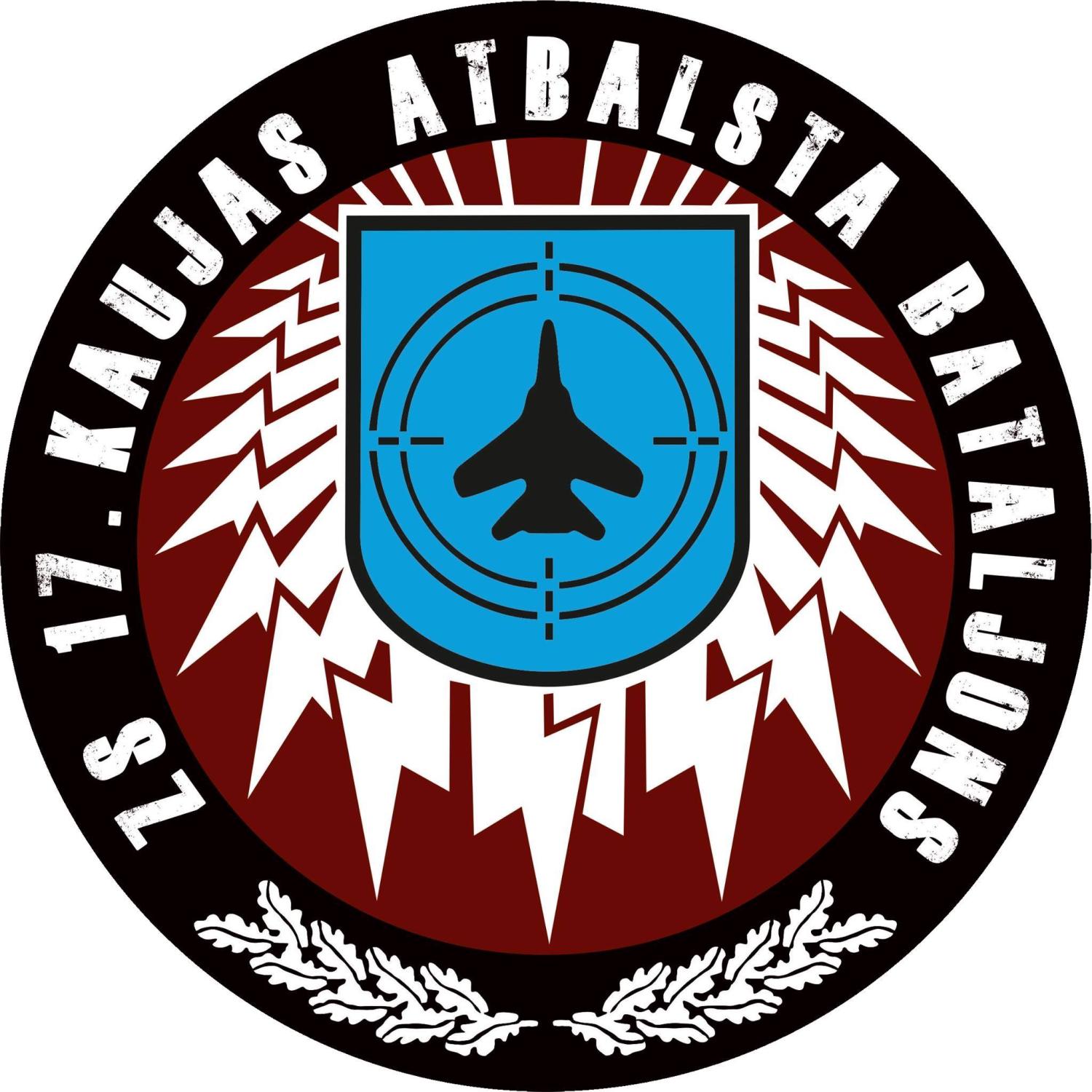 17. kaujas atbalsta bataljons